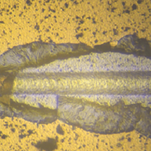 MicroMaterials CORE