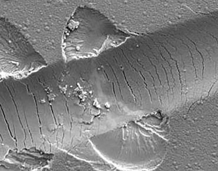 MicroMaterials CORE