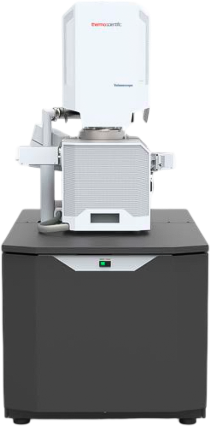 Микроскоп VolumeScope 2 SEM