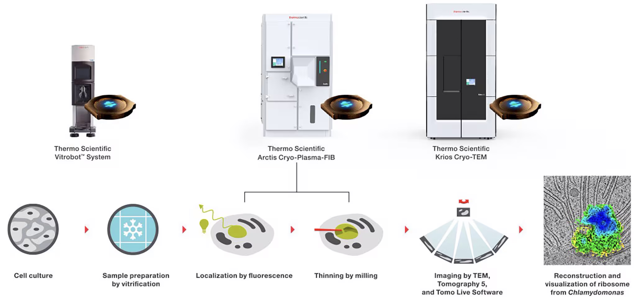 Микроскоп Arctis Cryo-Plasma-FIB