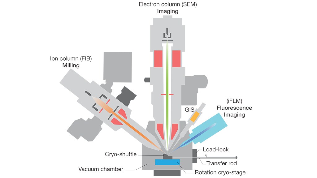 Микроскоп Aquilos 2 Cryo-FIB